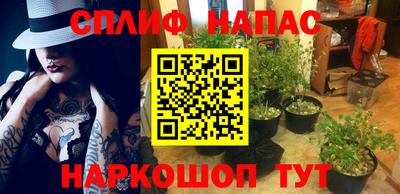 метадон Будённовск