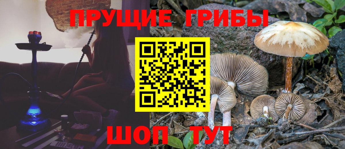 Псилоцибиновые грибы мухоморы Семилуки