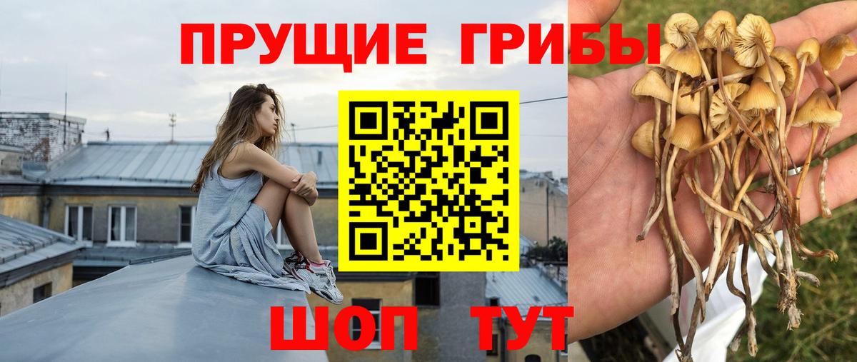 Семилуки  Псилоцибиновые грибы мухоморы  Вход с VPN  цены наркотик  Галлюциногенные грибы MAGIC MUSHROOMS 